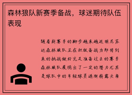 森林狼队新赛季备战，球迷期待队伍表现
